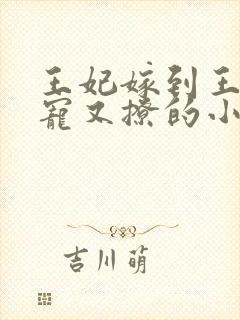 王妃嫁到王爷又宠又撩的小说