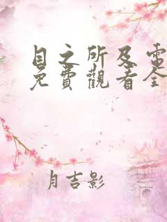 目之所及电视剧免费观看全集完整版