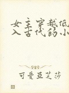 女主穿越低调融入古代的小说