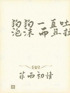 狗狗一直吐白色泡沫 而且拉肚子