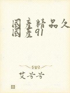 国产精品久久久国产91