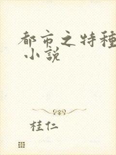 都市之特种兵王 小说