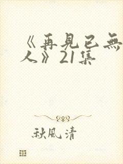 《再见已无剧中人》21集