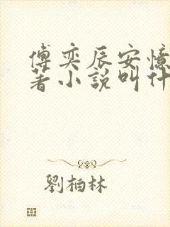 傅奕辰安忆恩原著小说叫什么名字