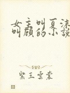 女主叫夏沫男主叫顾的小说