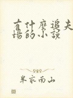 有什么追夫火葬场的小说