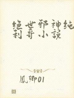 绝世邪神纯情犀利哥小说