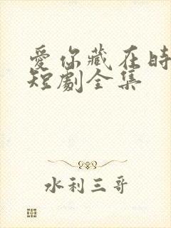 爱你藏在时光里短剧全集