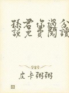 孙君你过分了小说免费阅读无弹窗