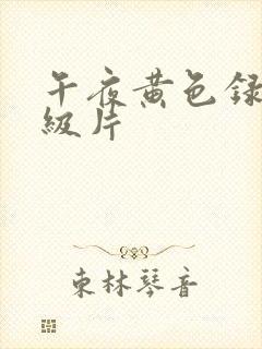 午夜黄色录像一级片