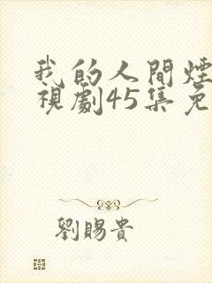 我的人间烟火电视剧45集免费观看