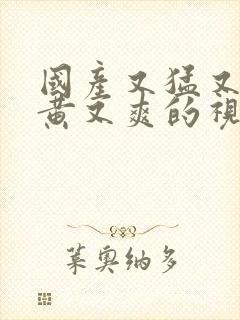 国产又猛又粗又黄又爽的视频