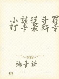 小说从斗罗开始打卡最新章节