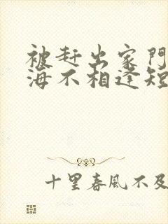 被赶出家门后山海不相逢短剧70