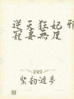 逆天狂妃 邪王宠妻无度