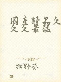 国产精品久久久久久最猛