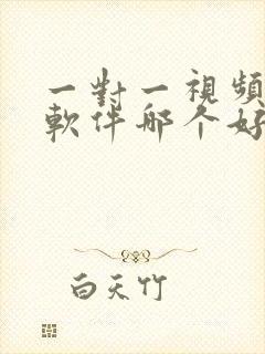 一对一视频聊天软件哪个好用