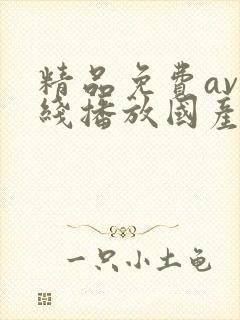 精品免费av在线播放国产