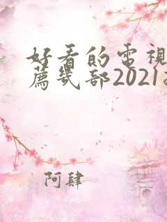 好看的电视剧推荐几部2021排行榜