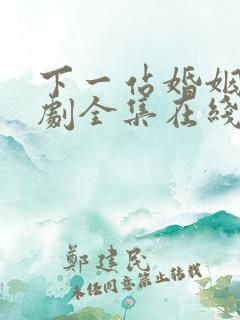 下一站婚姻电视剧全集在线免费观看