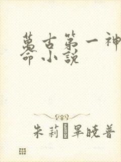 万古第一神李天命小说