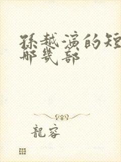 孙越演的短剧有哪几部