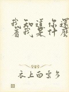 我知道你还是爱着我是什么歌