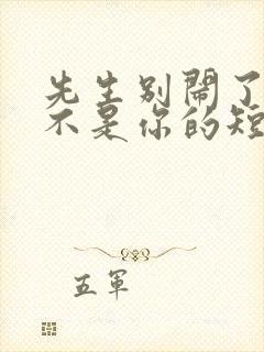 先生别闹了新娘不是你的短剧全集免费