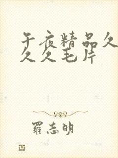 午夜精品久久久久久毛片