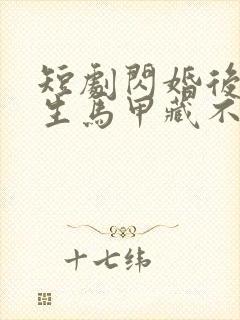 短剧闪婚后傅先生马甲藏不住了免费看