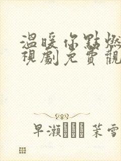 温暖你点燃我电视剧免费观看全集