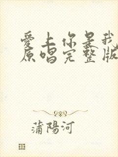 爱上你是我的错原唱完整版