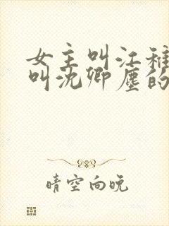 女主叫江稚男主叫沈卿尘的小说