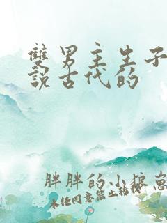 双男主生子文小说古代的