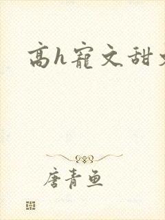 高h宠文甜文