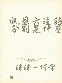 佩恩六道的能力分别是什么