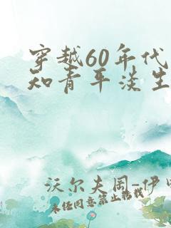 穿越60年代小知青平淡生活