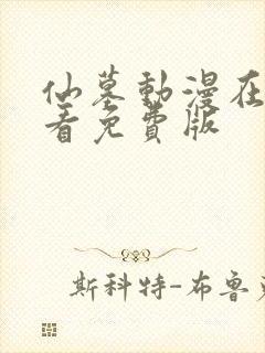 仙墓动漫在线观看免费版