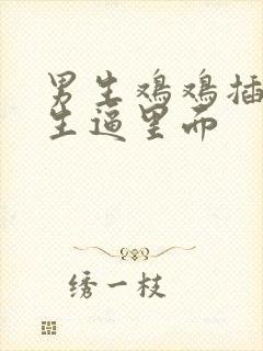 男生鸡鸡插进女生逼里面