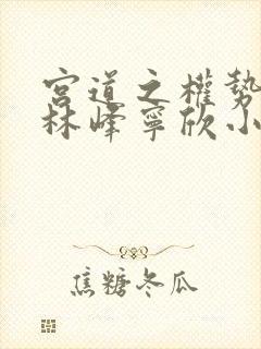 宫道之权势滔天林峰宁欣小说赵小二著