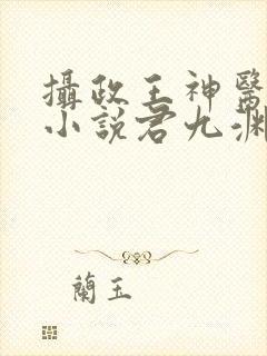 摄政王神医狂妃小说君九渊