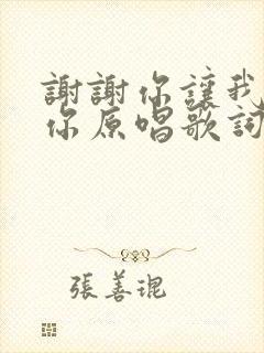 谢谢你让我遇见你原唱歌词