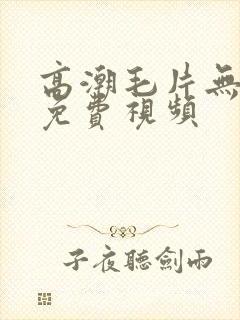 高潮毛片无遮挡免费视频