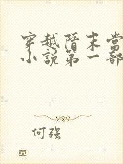 穿越隋末当皇帝小说第一部