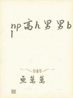 np高h男男bl