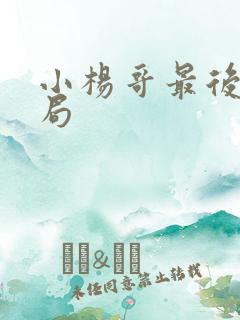 小杨哥最后的结局