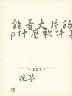 能看大片的app什么软件来着