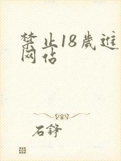 禁止18岁进入网站