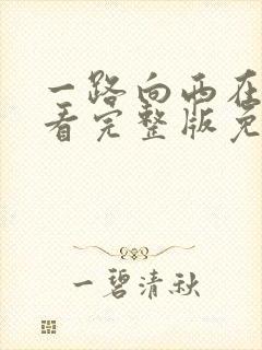 一路向西在线观看完整版免费视频