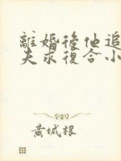 离婚后他追着前夫求复合小说